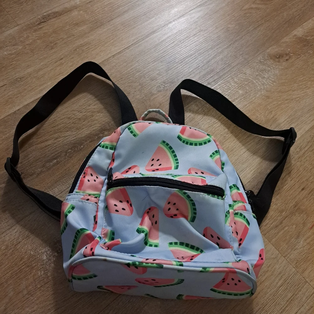 Kids Youth Girl's Blue Pink Watermelon Print Mini Backpack